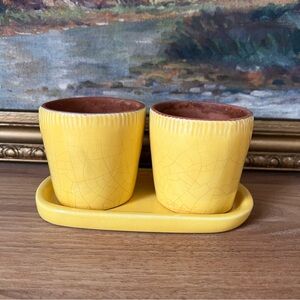 Pottery Barn Yellow Planters with Tray (Set 2)